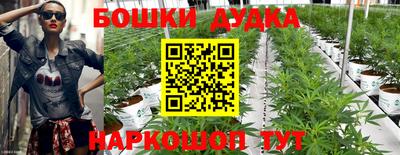 прущие крисы Лесосибирск