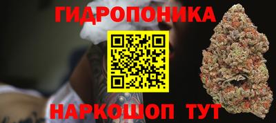 прущие крисы Лесосибирск