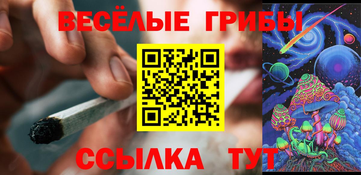 Псилоцибиновые грибы MAGIC MUSHROOMS  Вход с VPN  купить наркотики цена  Армавир  Галлюциногенные грибы ЛСД 