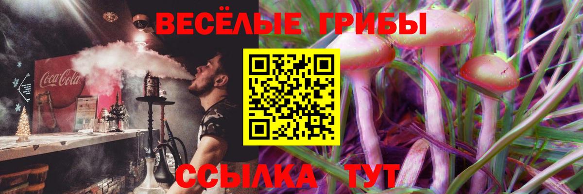 Псилоцибиновые грибы Psilocybine cubensis Армавир